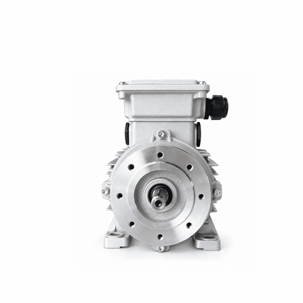 MT Electric Ex-Proof Motor 0.25 kW 1425 Devir